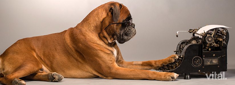 SEO-Optimization-Best-Practices-wordpress-posts